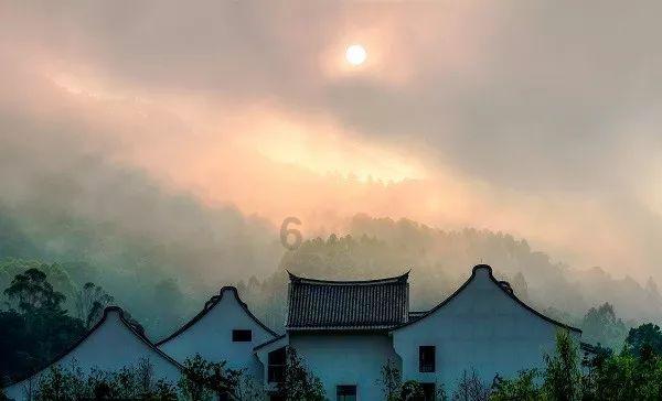 中国烤饼机行业市场行情监测及发展趋向研判分析